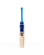 Versus V-Pro Club Edition hardball bat with wooden handle and polished finish.