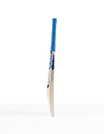 Versus V-Pro Players Edition hardball bat shown from side, featuring a sleek design and professional-grade construction.