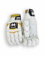 Hound 251 batting gloves with padded palms and adjustable wrist straps, designed for cricket players.